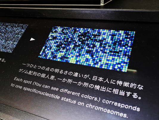 An example of an exhibit at a Japanese research facility. Race and ethnicity are broadly acknowledged as social constructs, yet they continue to be used as scientific representations in fields such as genomics business.